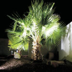 Outdoor-PROJECT lights