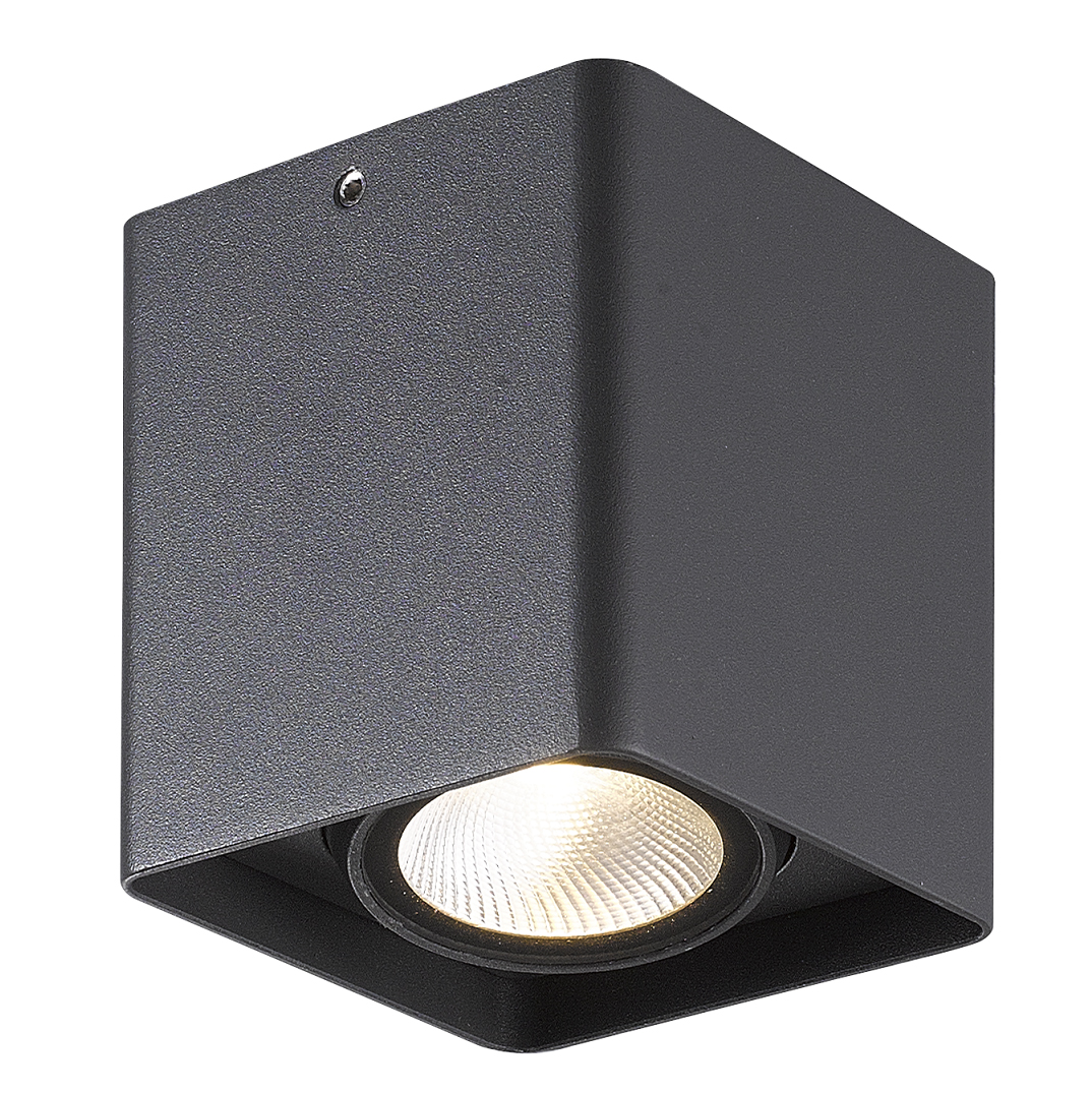 TCAS LIGHTING 8391